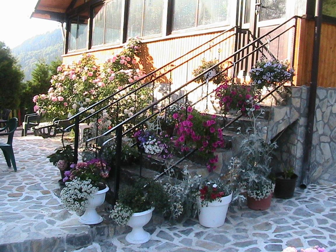 Vila Rina Moeciu De Sus Zewnętrze zdjęcie