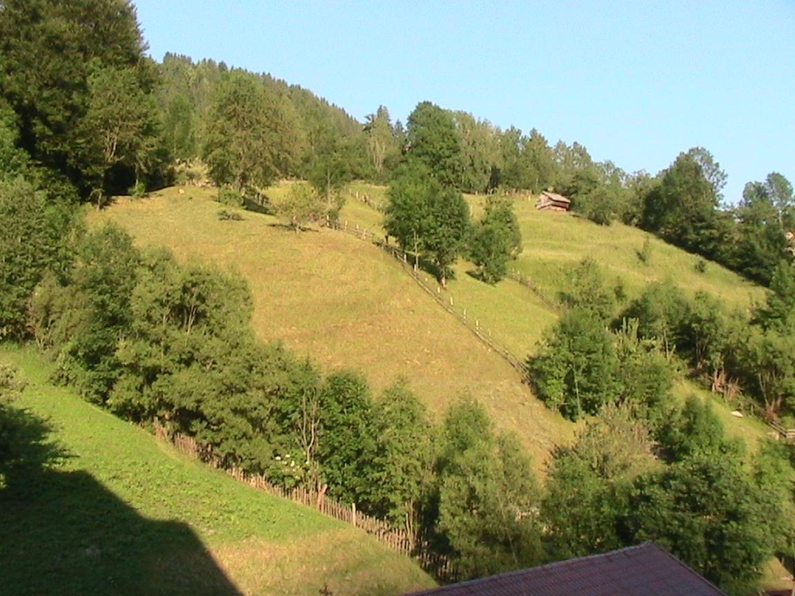 Vila Rina Moeciu De Sus Zewnętrze zdjęcie