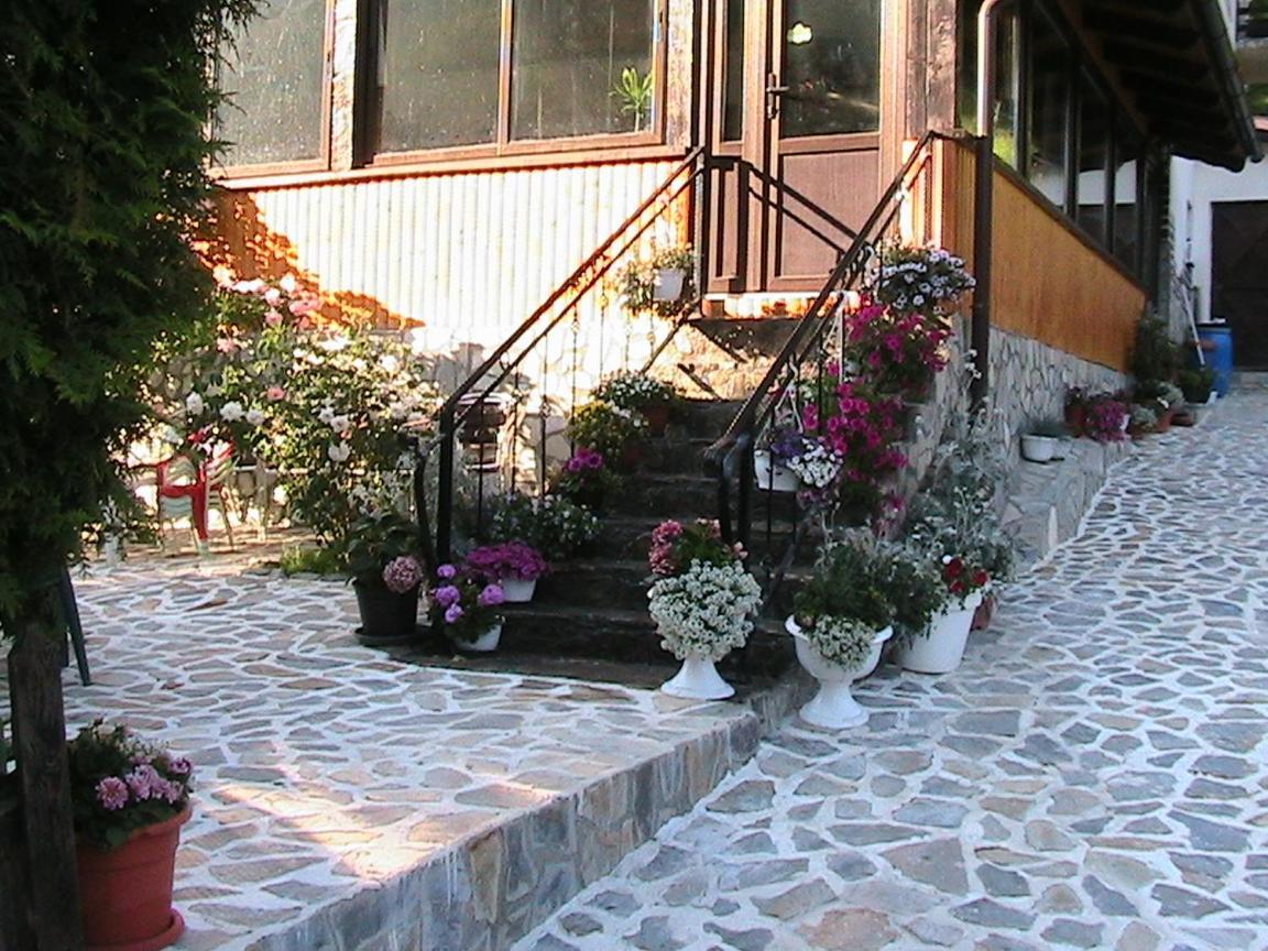 Vila Rina Moeciu De Sus Zewnętrze zdjęcie